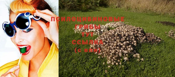 PSILOCYBIN Зеленодольск