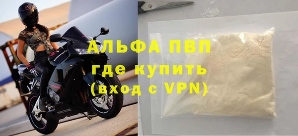 шишки Инта