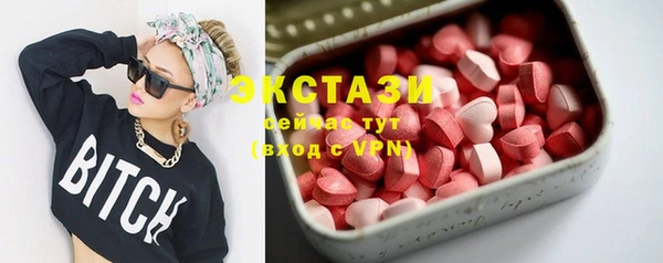 шишки Инта