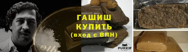 шишки Инта