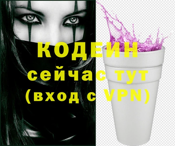 прущие грибы Инсар