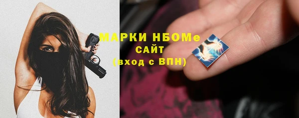 шишки Инта