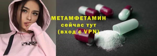прущие грибы Инсар