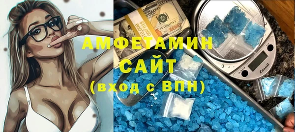 шишки Инта