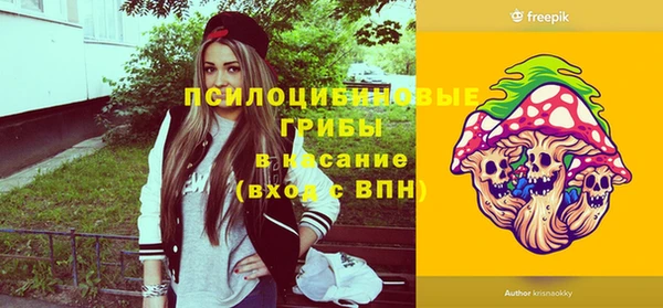 шишки Инта