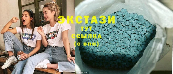 шишки Инта