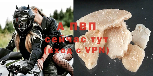 spice Зерноград