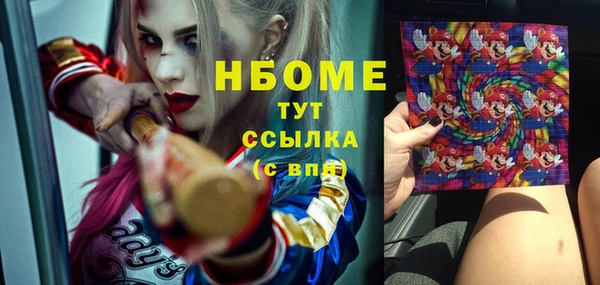прущие грибы Инсар