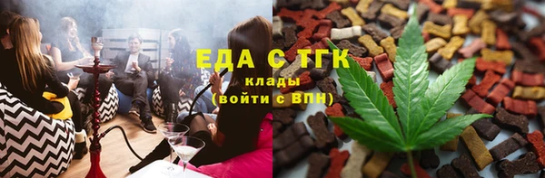 шишки Инта