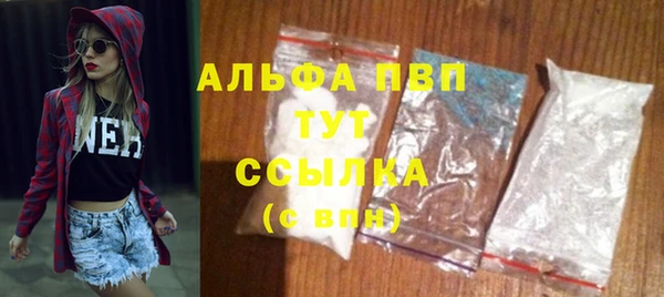 прущие грибы Инсар