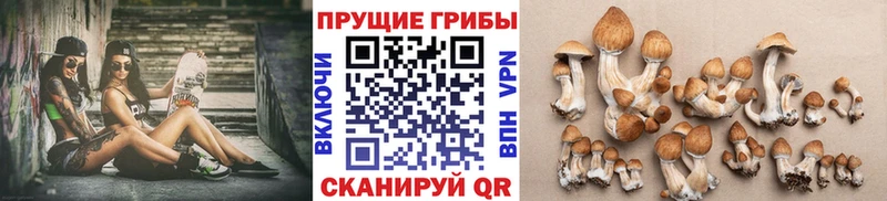 Купить где  Елабуга  Галлюциногенные грибы мухоморы 